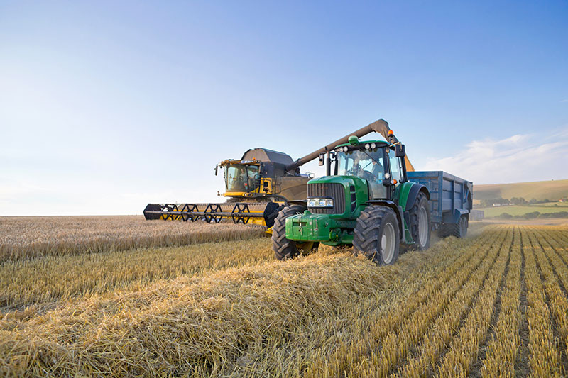 agricultura